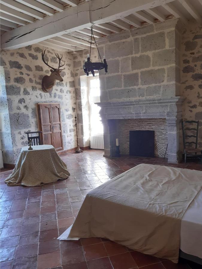 Chateau De Cauderoue Nerac Luaran gambar